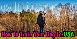 How To Train Your Dog St Pet In USA