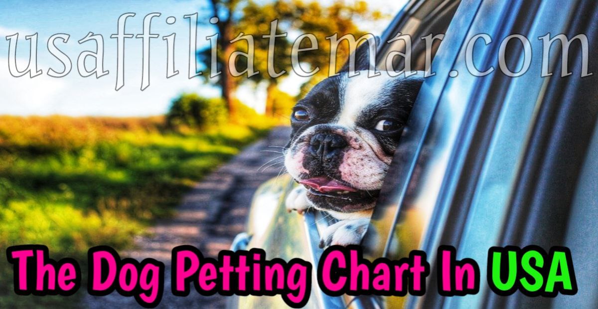 The Ultimate Dog Petting Chart for the USA - Raja Life